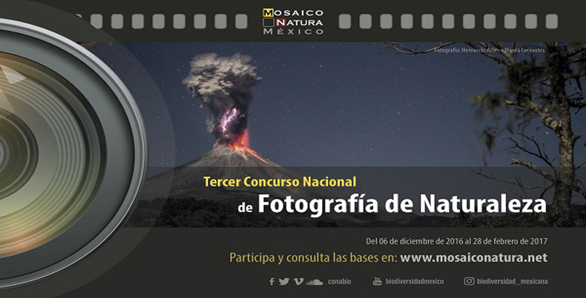 Mosaico Natura México invita al tercer Concurso Nacional de Fotografía