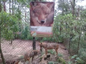 Zoológico San José de SCLC, exhiben 17 especies en peligro de extinción