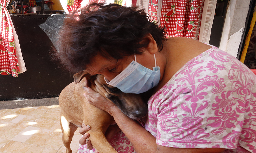 Fundación Piluchita pide ayuda para sus perritos; algunos enfermos
