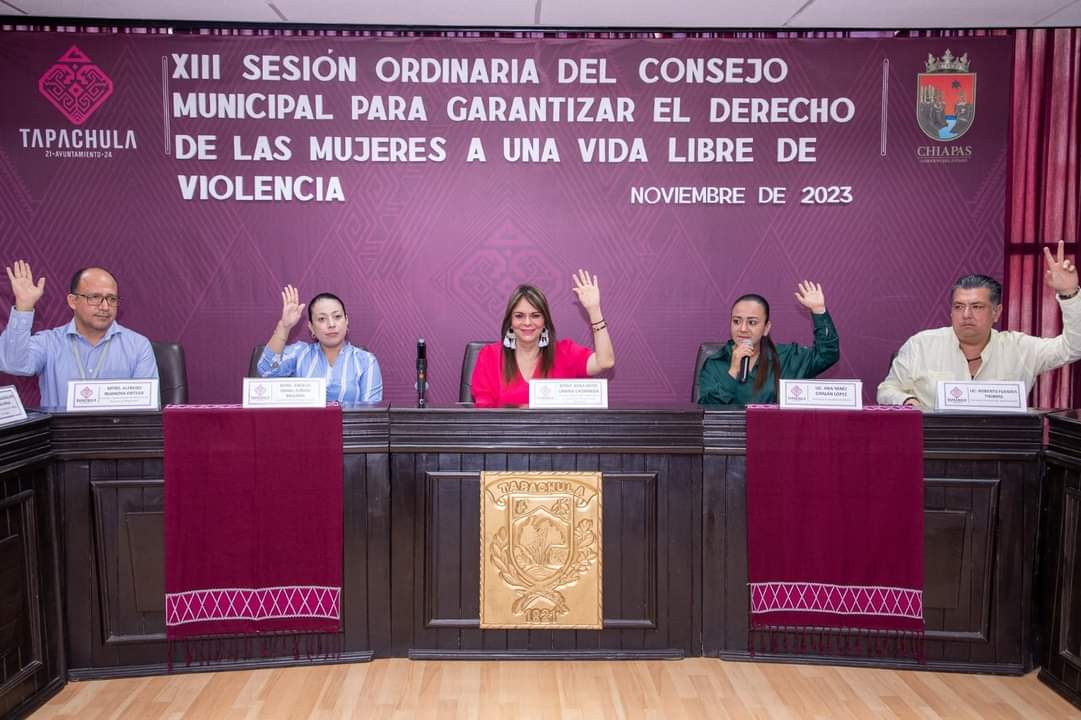 Acuerda Consejo Municipal Garantizar Derecho A Vida Libre De Violencia