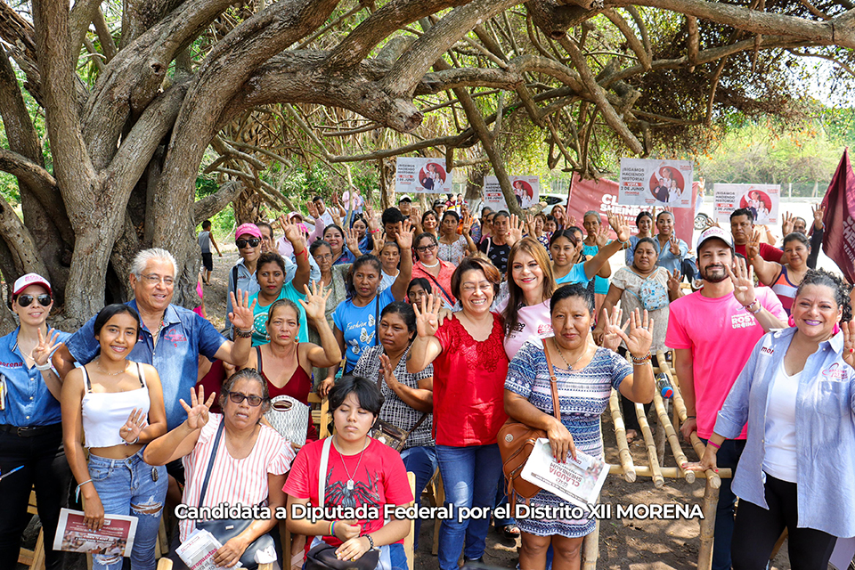 Empoderamiento Femenino Y Desarrollo Fronterizo, Metas Legislativas ...