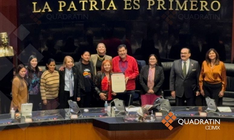 Rosario Piedra es reelecta para CNDH; gana AMLO: oposición 