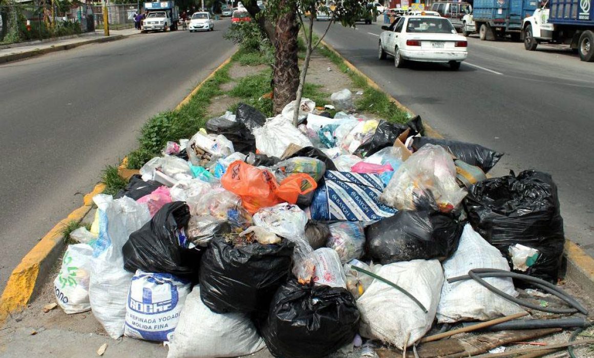 Genera SLP más de mil toneladas diarias de basura; se recicla menos del ...