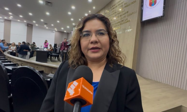 Solo 2 de 20 iniciativas de diputada del PAN han sido aprobadas