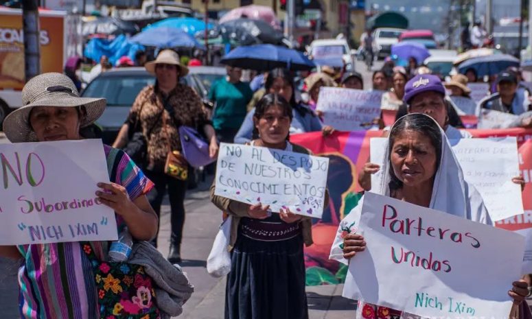 Parteras de Chiapas alertan por violencia y obstáculos institucionales